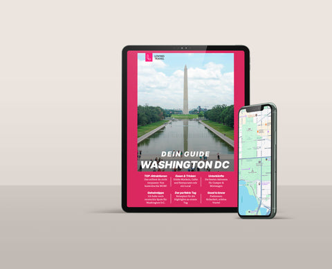Washington D.C. (Mini-Guide)